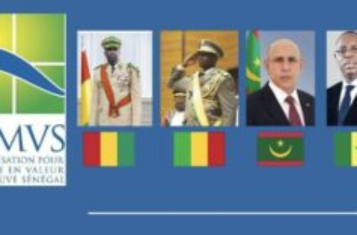 Article : La Guinée suspend sa participation de l’OMVS : une décision incompréhensible